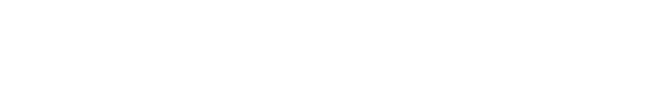 Dunlop